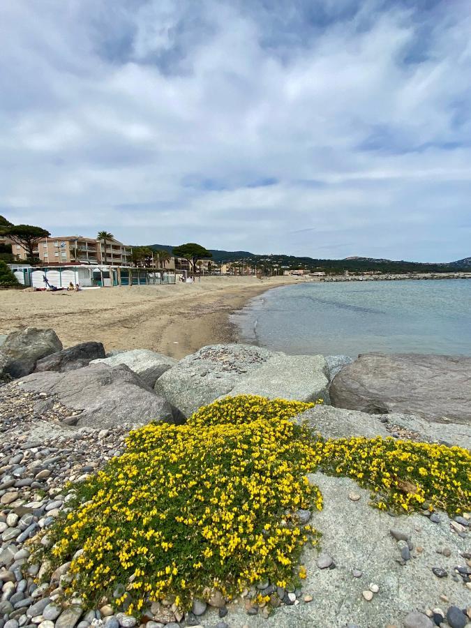 Studio 150 M De Plage Golfe De Saint-Tropez Cavalaire-sur-Mer Exteriör bild